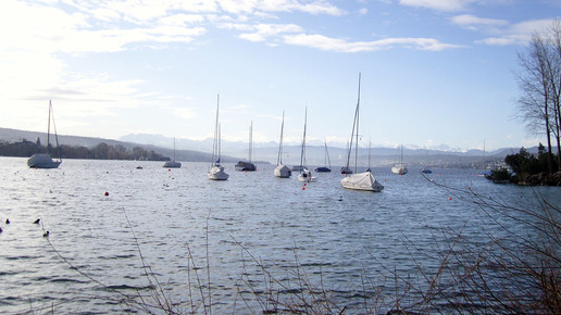 zueri-see zuerich aa