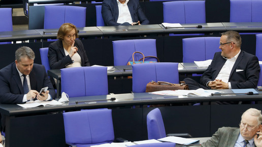 AfD-Antrag: EU-Vorrang bei Rabattverträgen