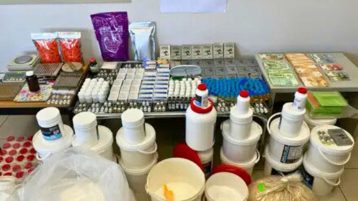 Ermittler präsentieren von Europol beschlagnahmte Arzneimittel