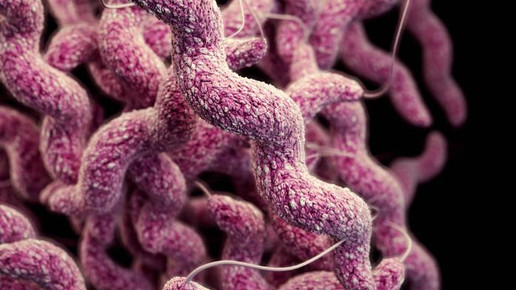 Hähnchenfleisch: Risiko für Darmentzündungen