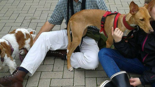 binninger 01 binninger