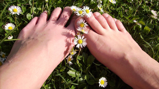 fuesse blumen Albert Maurer pixeliode