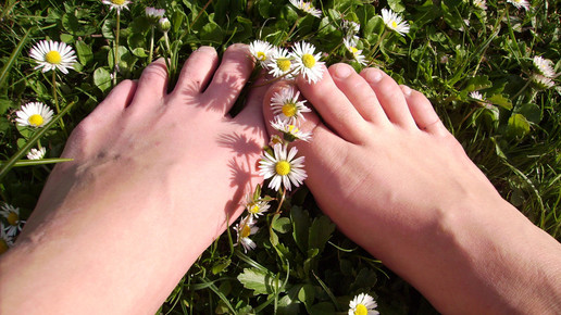 fuesse blumen Albert Maurer pixeliode