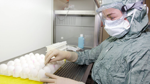 gsk anstechen eier gsk