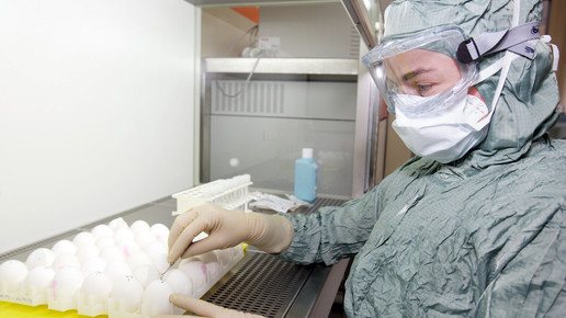 gsk anstechen eier gsk