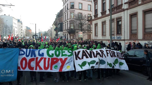 10990272 445653295601714 2377914158066831102 o