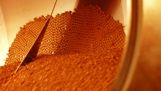 ginkgo produktion tablettencoating drwillmarschwabe