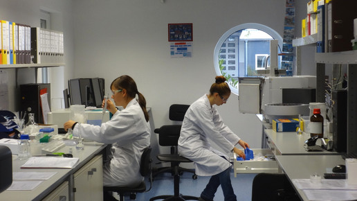 hoefner arbeitenim labor