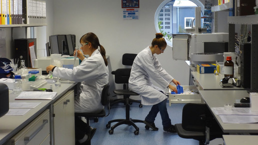 hoefner arbeitenim labor