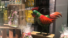 Eier, Gockel und Hatschi