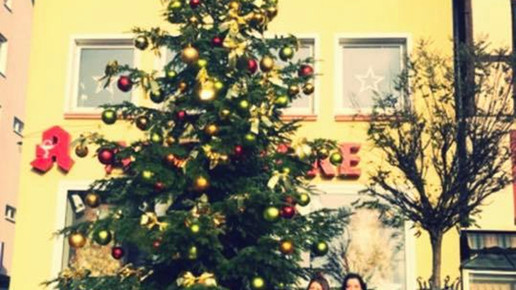 stadtapotheke buchen stadtapotheke 5