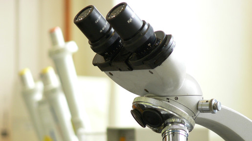 forschung Michael Buehrke pixelio