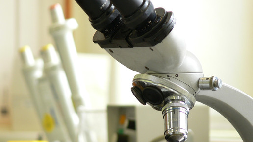 Huntington-Medikament besteht erste Tests