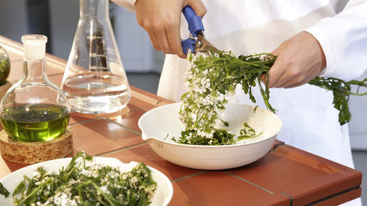 phytoherstellung labor steigerwald