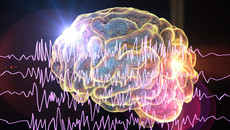 Gehirn mit EEG-Linien