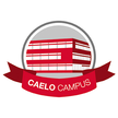 Die neuen Termine für die beliebten Caelo Campus-Webinare sind da! Die neuen Termine für die beliebten Caelo Campus-Webinare sind da!