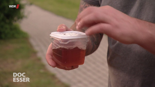 doc esser sonne muecken essigfalle scs