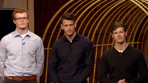 hoehlederloewen wanning vox