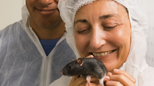 Norwegische Hirnforscher erhalten Körber-Preis