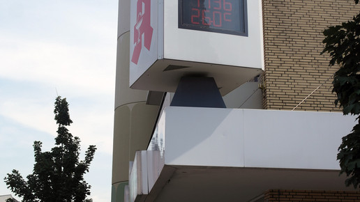 flora-apo170711 11 flora-apo