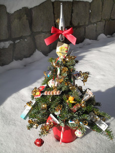 Siegerbaum Schwarzwald-Apo.Freudenstadt