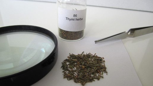 Thymi herba 2 aa