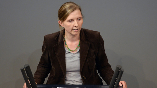 rueffer linke dtbundestag achim melde