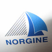 Logo von Norgine