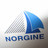 Logo von Norgine