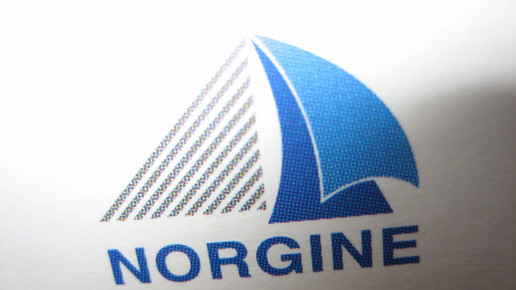 Logo von Norgine