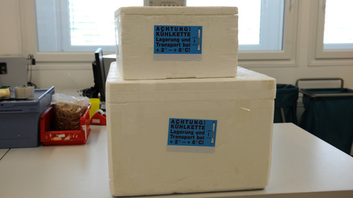 reimport kuehlkisten eh