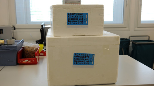 reimport kuehlkisten eh
