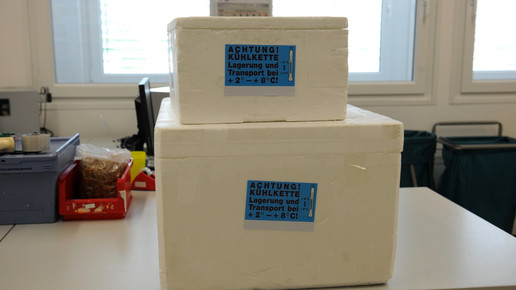 reimport kuehlkisten eh