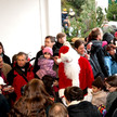 Stimmungsvolle Atmosphäre beim Christbaumschlagen der Sanacorp Stimmungsvolle Atmosphäre beim Christbaumschlagen der Sanacorp