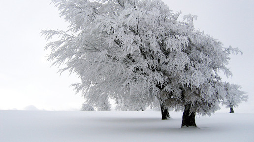 winter landschaft wikipedia