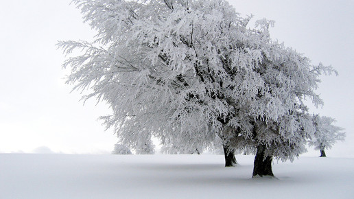 winter landschaft wikipedia