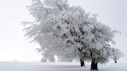 WHO: Kälte birgt Gesundheitsrisiken