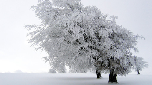 winter landschaft wikipedia