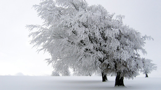 winter landschaft wikipedia