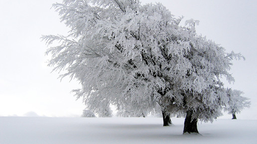 winter landschaft wikipedia