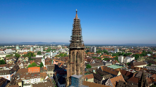 freiburg achim mende stg