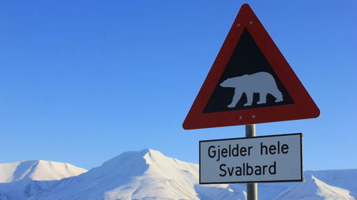 Symbolbild: Achtung Eisbär Schild in Spitzbergen