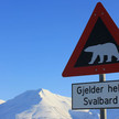 Symbolbild: Achtung Eisbär Schild in Spitzbergen