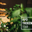 APOTHEKENTOUR als geniales Teamevent