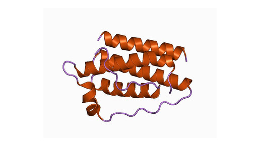 leptin european bioinformatics institute wiki