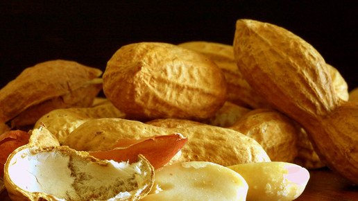 erdnuss erdnuesse birgit h pixeliode