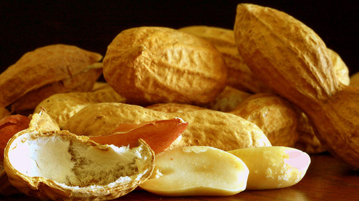 erdnuss erdnuesse birgit h pixeliode