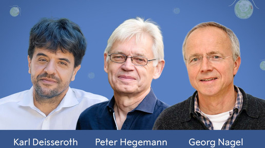 Die drei Nobelpreisträger 2026 KARL DEISSEROTH, PETER HEGEMANN, and GEORG NAGEL