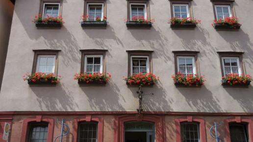 Burg-Apotheke Fassade Burg-Apotheke