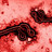 Ebola-Variante: Moderna will Impfstoff entwickeln Ebola-Variante: Moderna will Impfstoff entwickeln